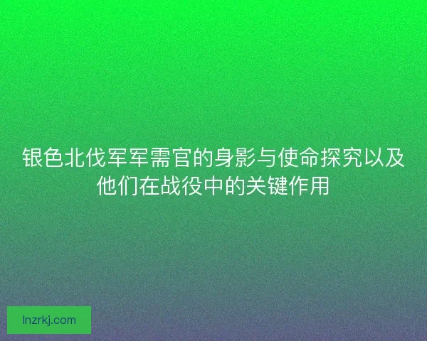 银色北伐军军需官的身影与使命探究以及他们在战役中的关键作用