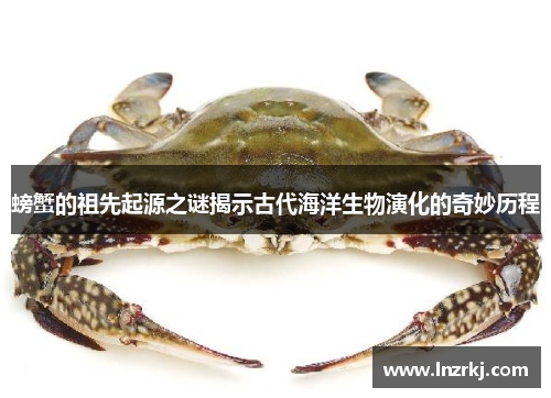 螃蟹的祖先起源之谜揭示古代海洋生物演化的奇妙历程